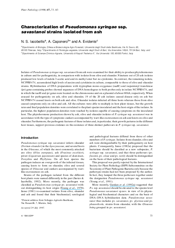(PDF) Characterization of Pseudomonas syringae ssp. savastanoi strains ...