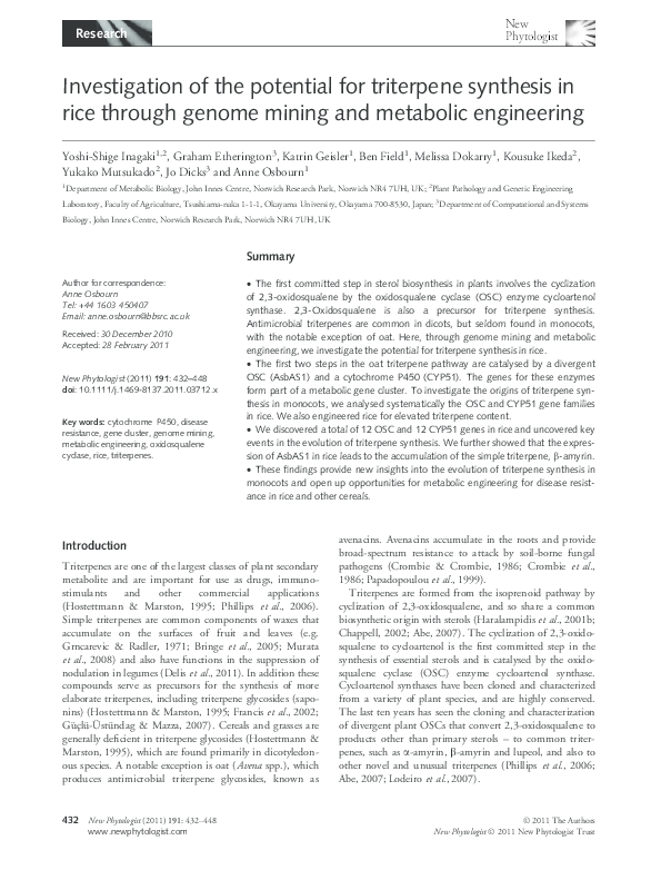 Shige essay 07 picture