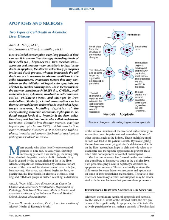 (PDF) APOPTOSIS AND NECROSIS Two Types of Cell Death in Alcoholic Liver ...