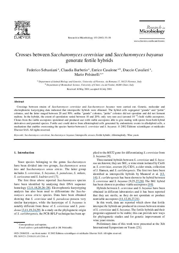 (PDF) Crosses between Saccharomyces cerevisiae and Saccharomyces