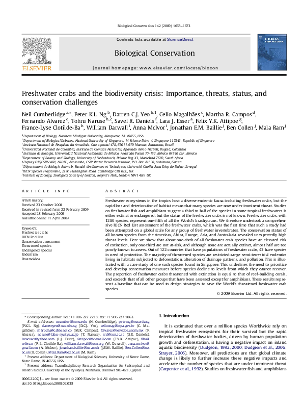 Cyber security essay picture