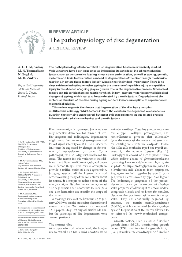 Pathophysiology review essay image