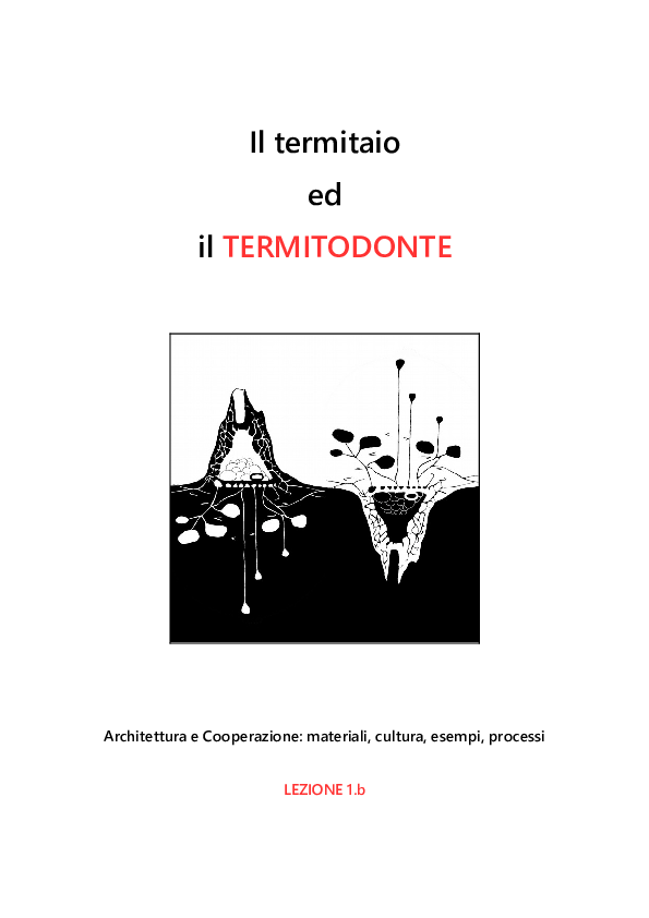 Pdf 1 B Il Termitaio Ed Il Termitodonte Pdf Lorenzo Fontana Academia Edu