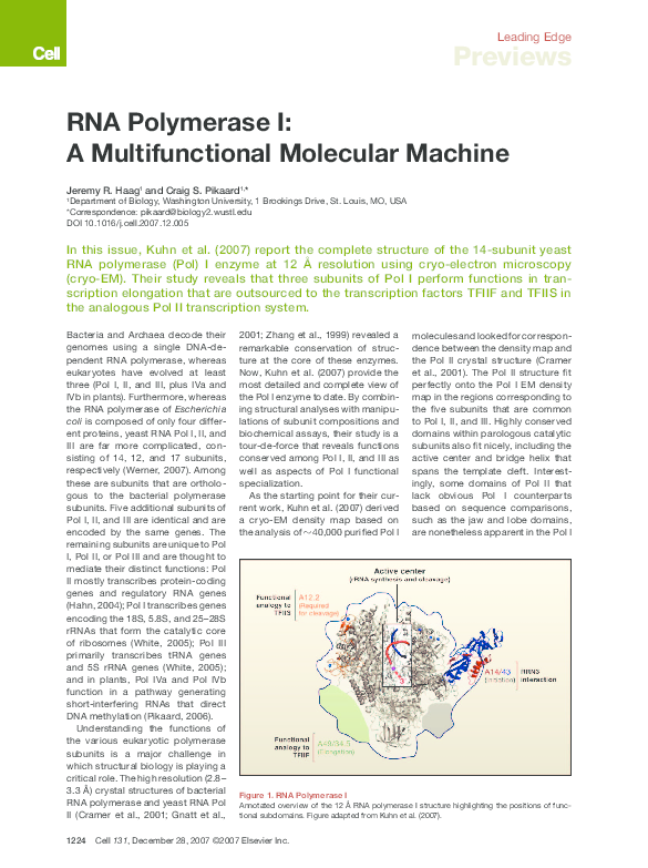 (PDF) RNA Polymerase I: A Multifunctional Molecular Machine