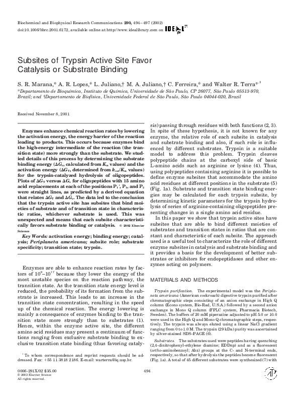 Trypsin investigation essay image