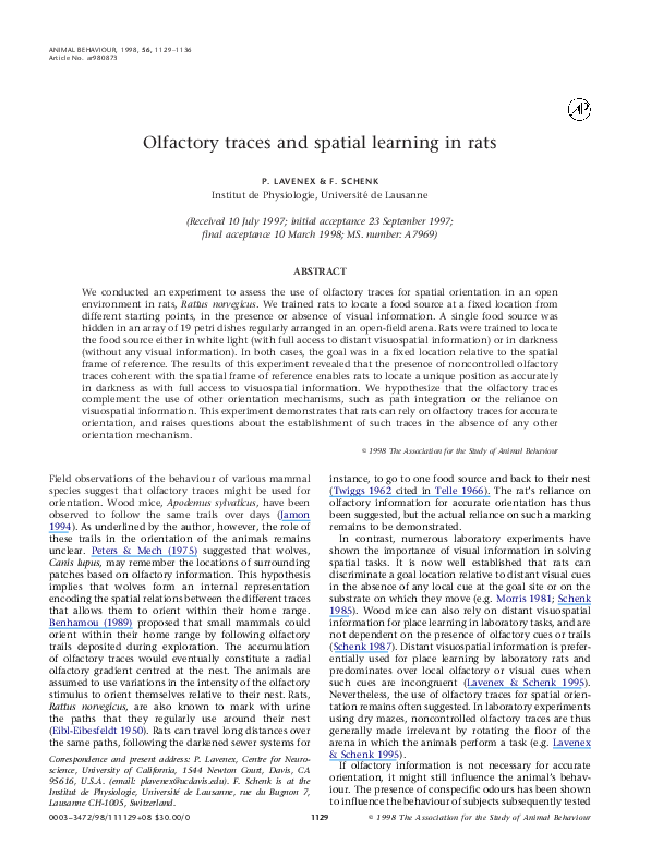 Olfactory traces and spatial learning in rats