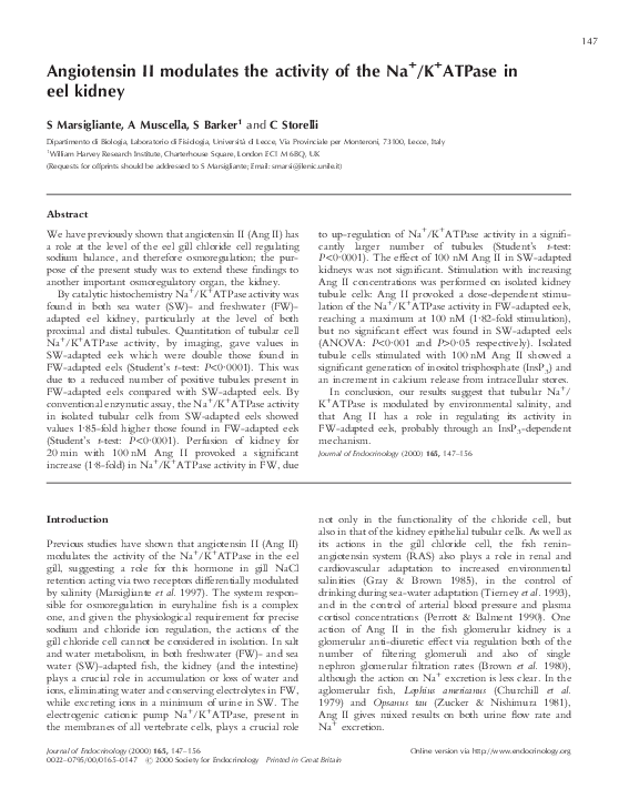 (PDF) Angiotensin II Modulates the Activity of Na+,K+ATPase in Cultured ...