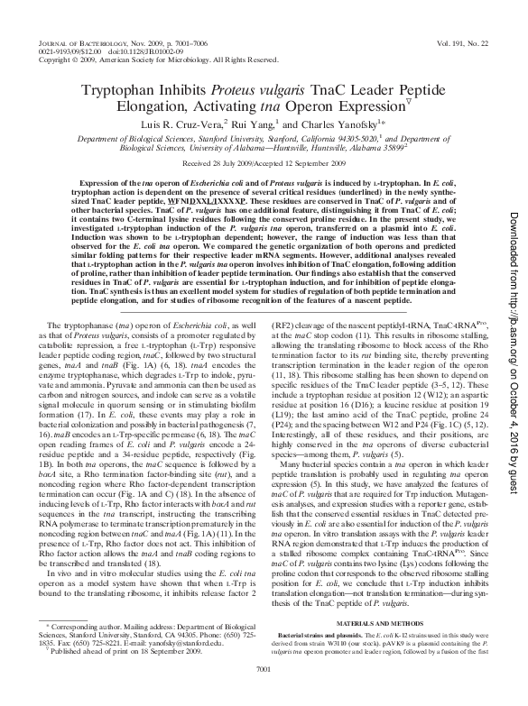 (PDF) Tryptophan Inhibits Proteus vulgaris TnaC Leader Peptide ...
