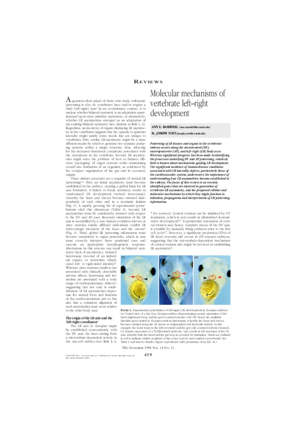 (PDF) Molecular mechanisms of vertebrate left–right development