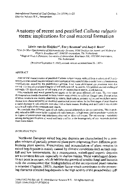 (PDF) Anatomy of recent and peatified Calluna vulgaris stems ...