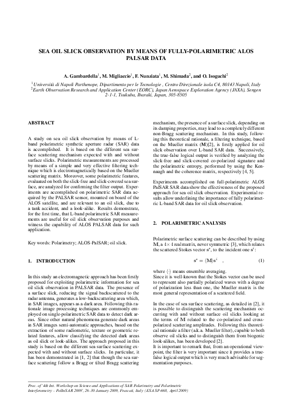 (PDF) Sea Oil Slick Observation by Means of Fully-Polarimetric Alos ...
