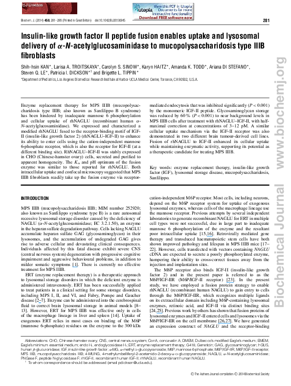 (PDF) Insulin-like growth factor II peptide fusion enables uptake and ...