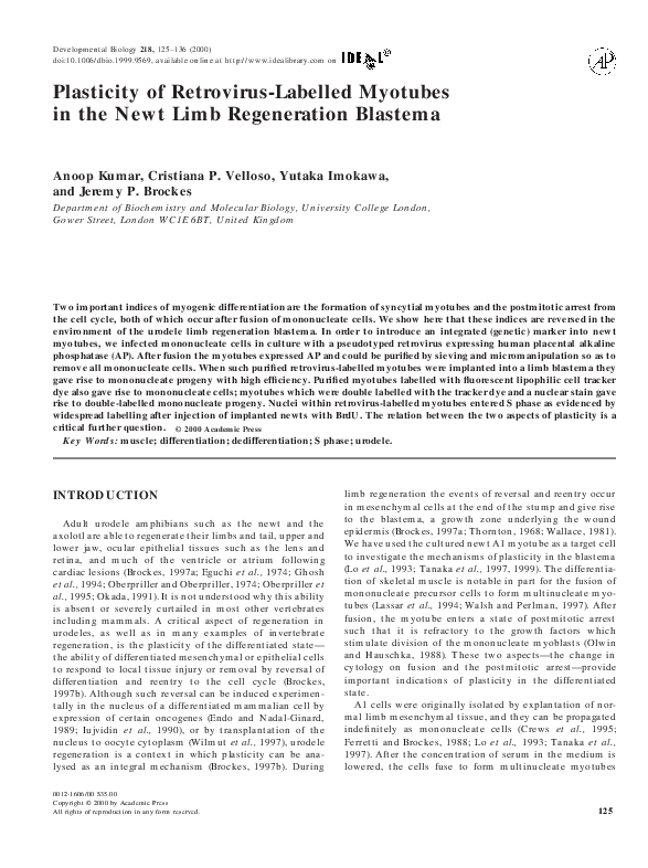 Why are retroviruses dangerous image