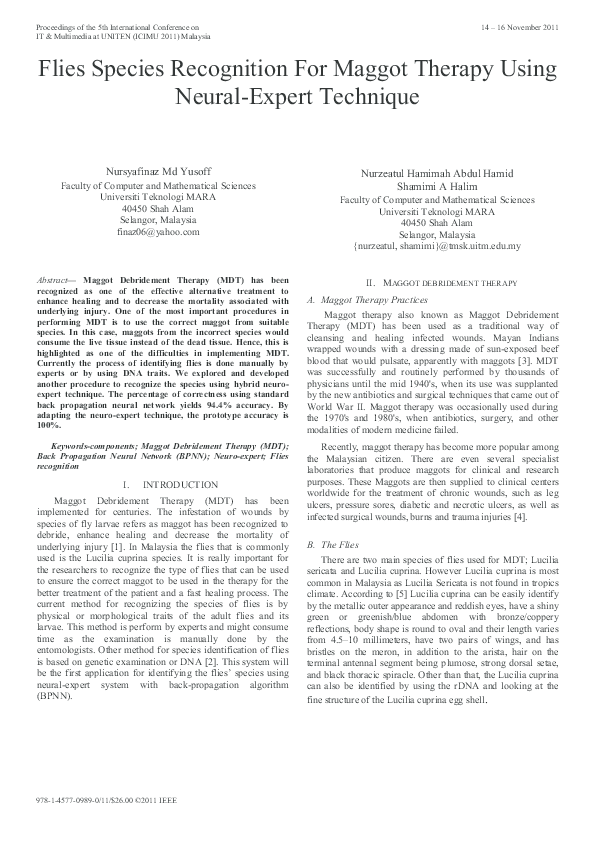 Medical maggots treatment image