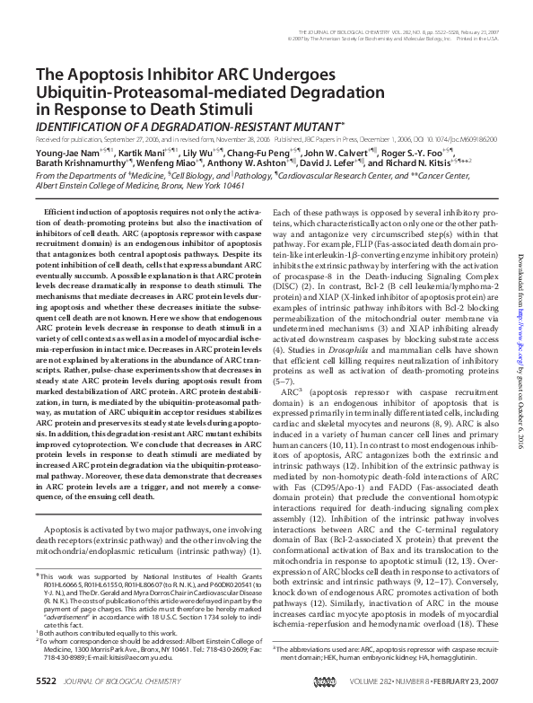A closer look at Conversion Of The Death Inhibitor Arc To A Killer