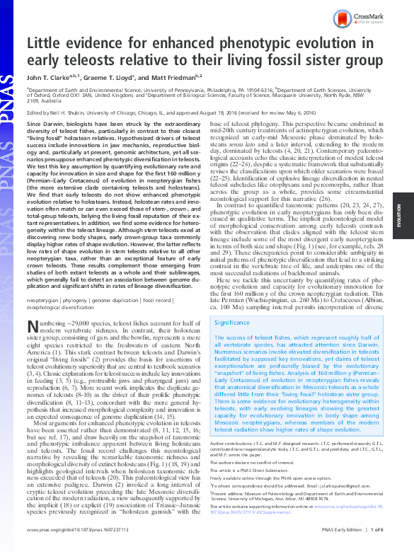 PDF) Little evidence for enhanced phenotypic evolution in