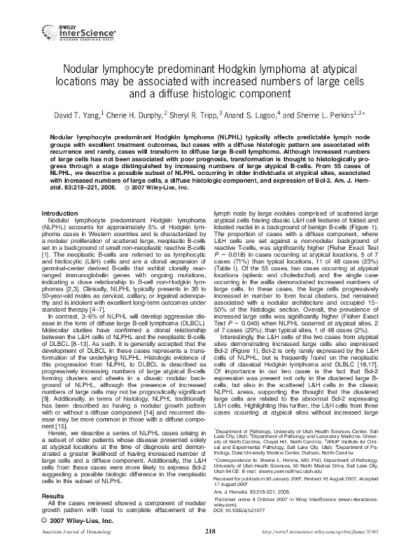 Lymphocytes structure and function image