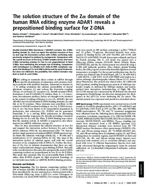 (PDF) The Solution Structure of the Zalpha Domain of the Human RNA ...