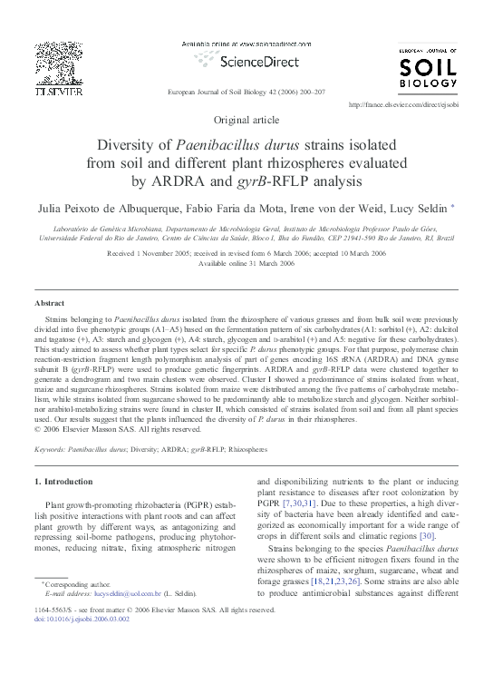 Personal diversity essay image