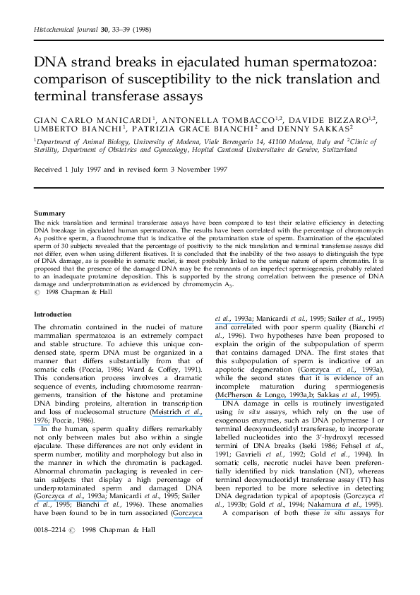 (PDF) DNA strand breaks in human sperm cells, A comparison between men ...