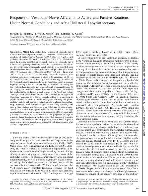 Vestibular neuritis essay image