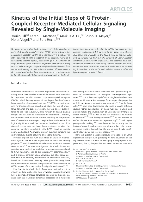 Radiology report for denna martinez essay 07 image