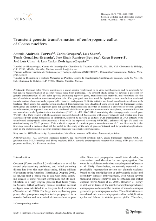 (PDF) Transient genetic transformation of embryogenic callus of Cocos ...