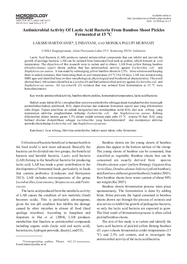 (PDF) Antimicrobial Activity of Lactic Acid Bacteria from Bamboo Shoot ...