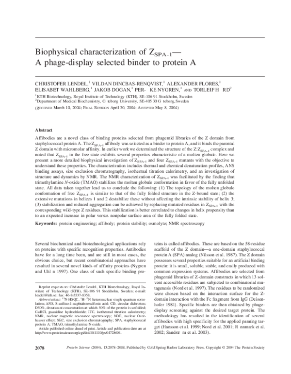 (PDF) Biophysical characterization of Z SPA1 -A phage-display selected ...