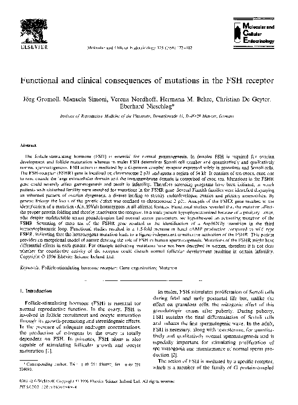 Fsh jsndn essay 05 image