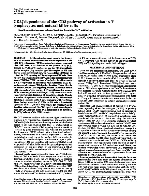 (PDF) CD3zeta Dependence of the CD2 Pathway of Activation in T ...