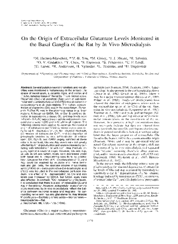 What is a neurotransmitter image