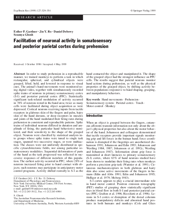 (PDF) Facilitation of neuronal activity in somatosensory and posterior ...