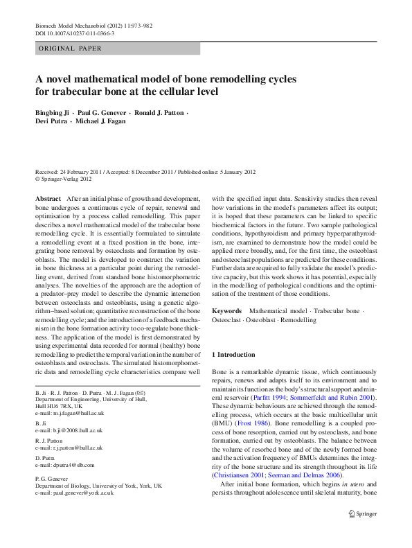 (PDF) A novel mathematical model of bone remodelling cycles for ...