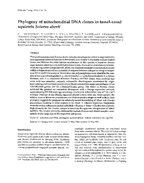 (PDF) Phylogeny of mitochondrial DNA clones in tassel-eared squirrels ...