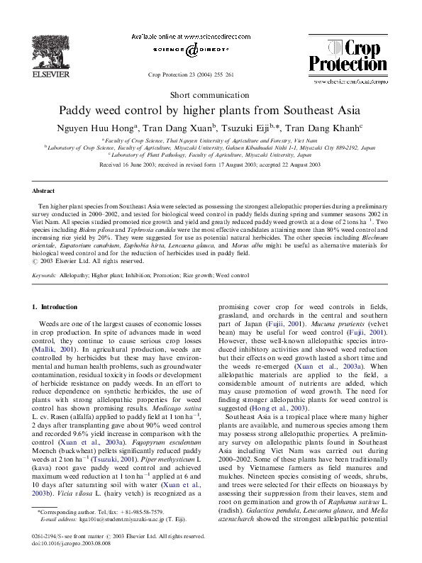 Weedy paddy essay 05 image