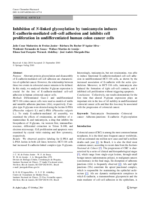 (PDF) Inhibition of N -linked glycosylation by tunicamycin induces E ...