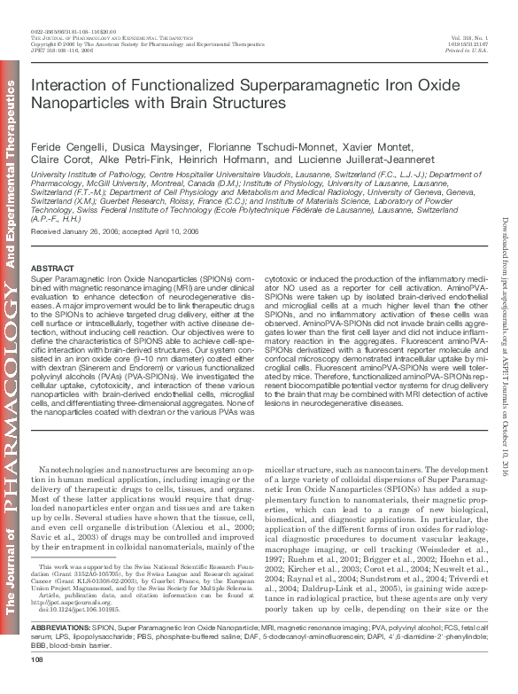 (PDF) Interaction of Functionalized Superparamagnetic Iron Oxide ...