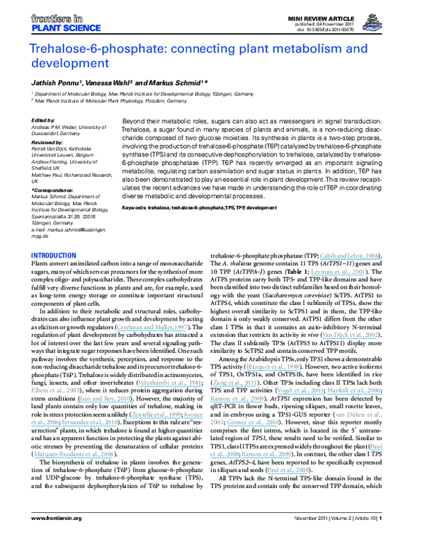 (PDF) Trehalose-6-Phosphate: Connecting Plant Metabolism and Development