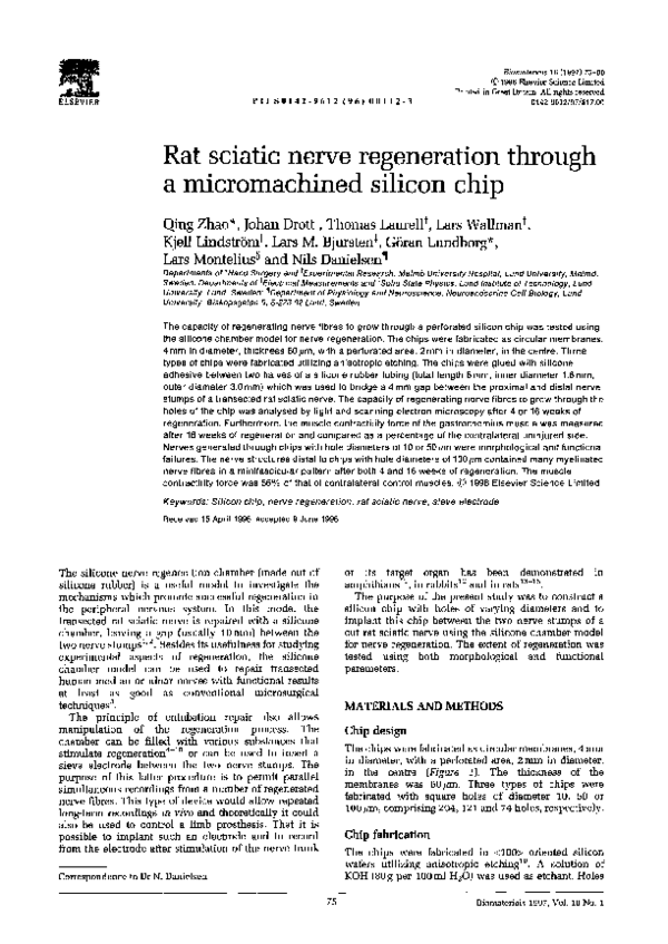 Sciatica research papers picture