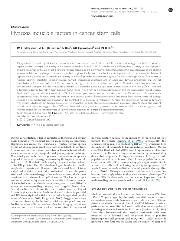 (PDF) Hypoxia inducible factors in cancer stem cells