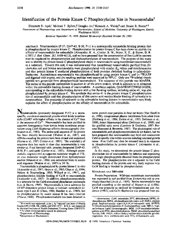 (PDF) Identification of the protein kinase C phosphorylation site in