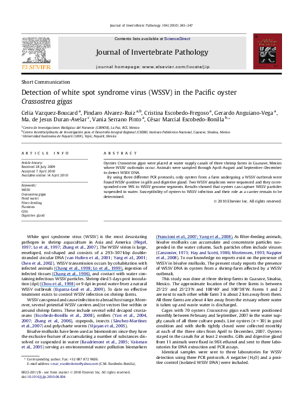 (PDF) Detection of white spot syndrome virus (WSSV) in the Pacific ...
