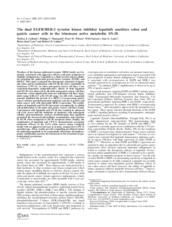 (PDF) The dual EGFR/HER2 tyrosine kinase inhibitor lapatinib sensitizes ...