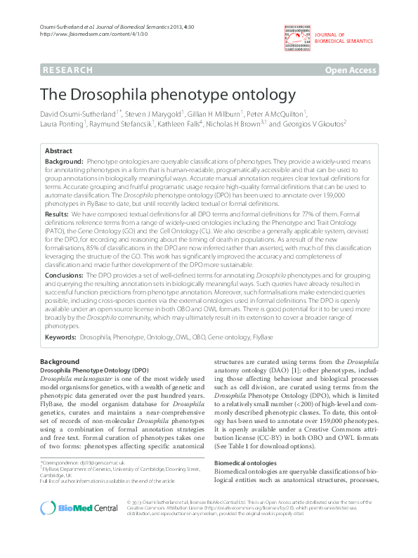 Drosophila essay picture