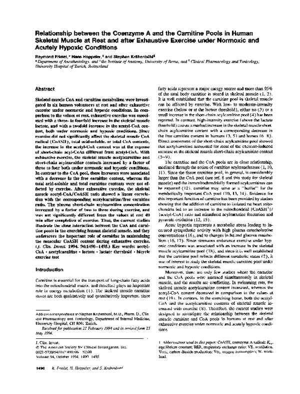 (PDF) Relationship between the coenzyme A and the carnitine pools in ...