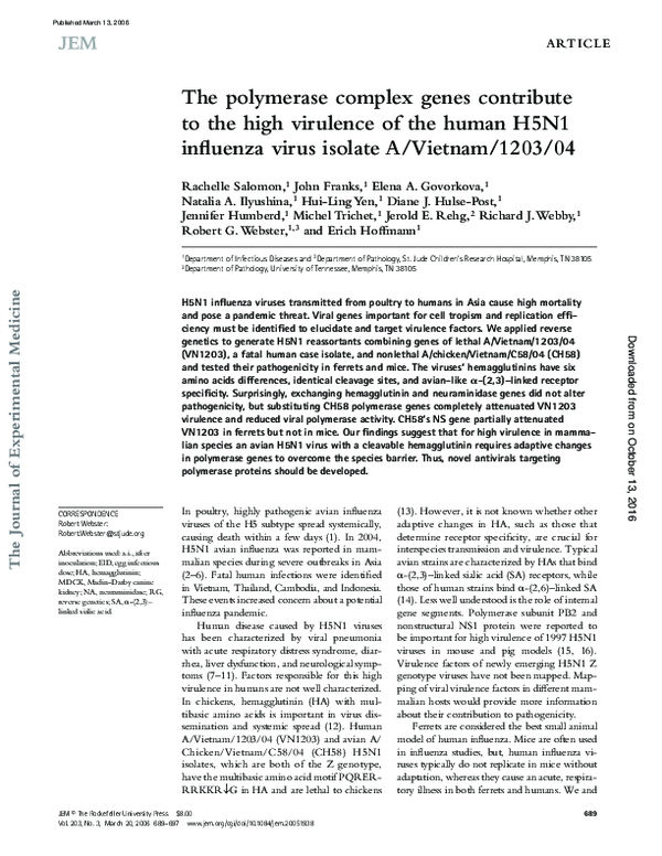 (PDF) The polymerase complex genes contribute to the high virulence of ...