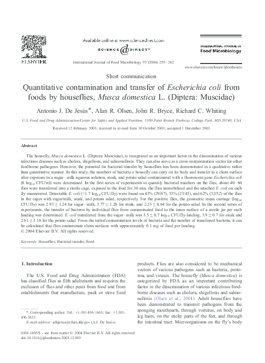 (PDF) Quantitative contamination and transfer of Escherichia coli from ...