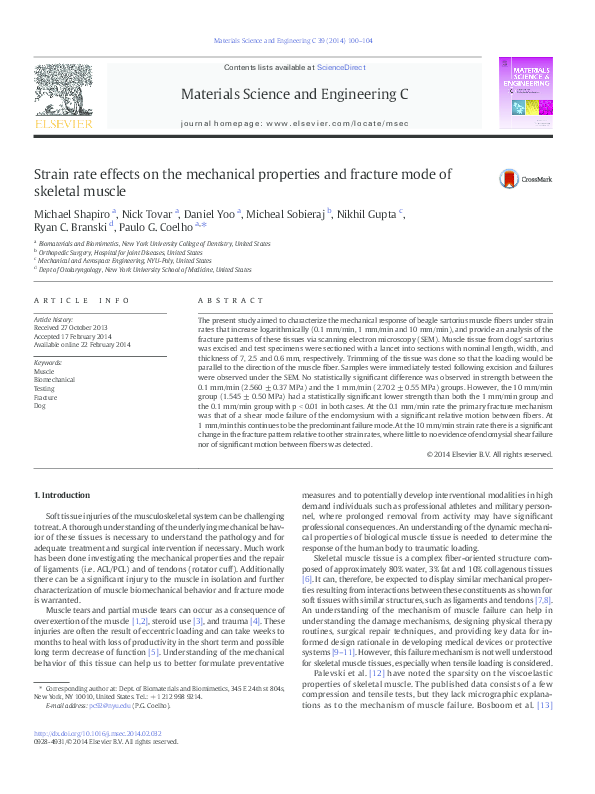 (PDF) Strain rate effects on the mechanical properties and fracture ...