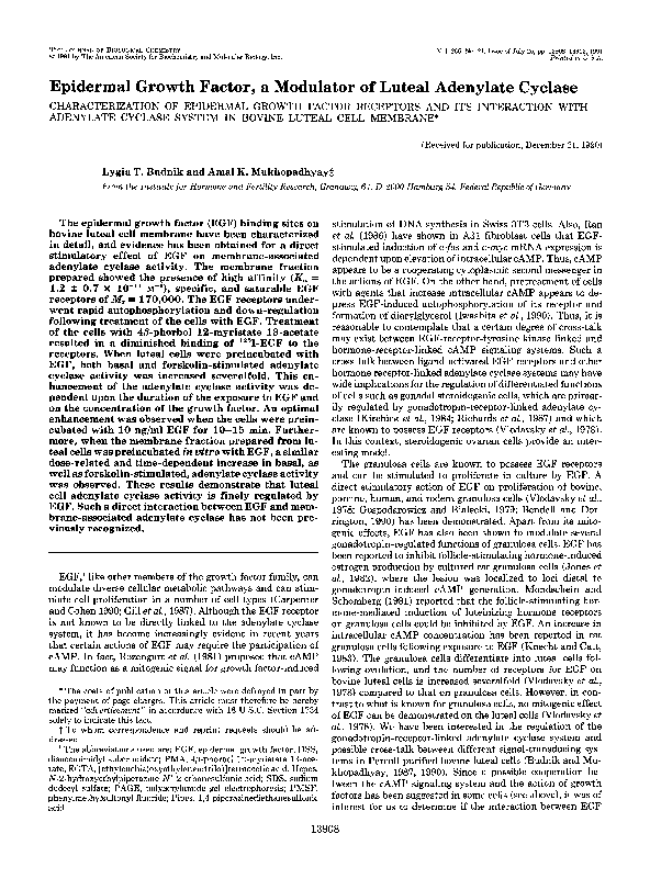 (PDF) Modulatory action of epidermal growth factor on differentiated ...